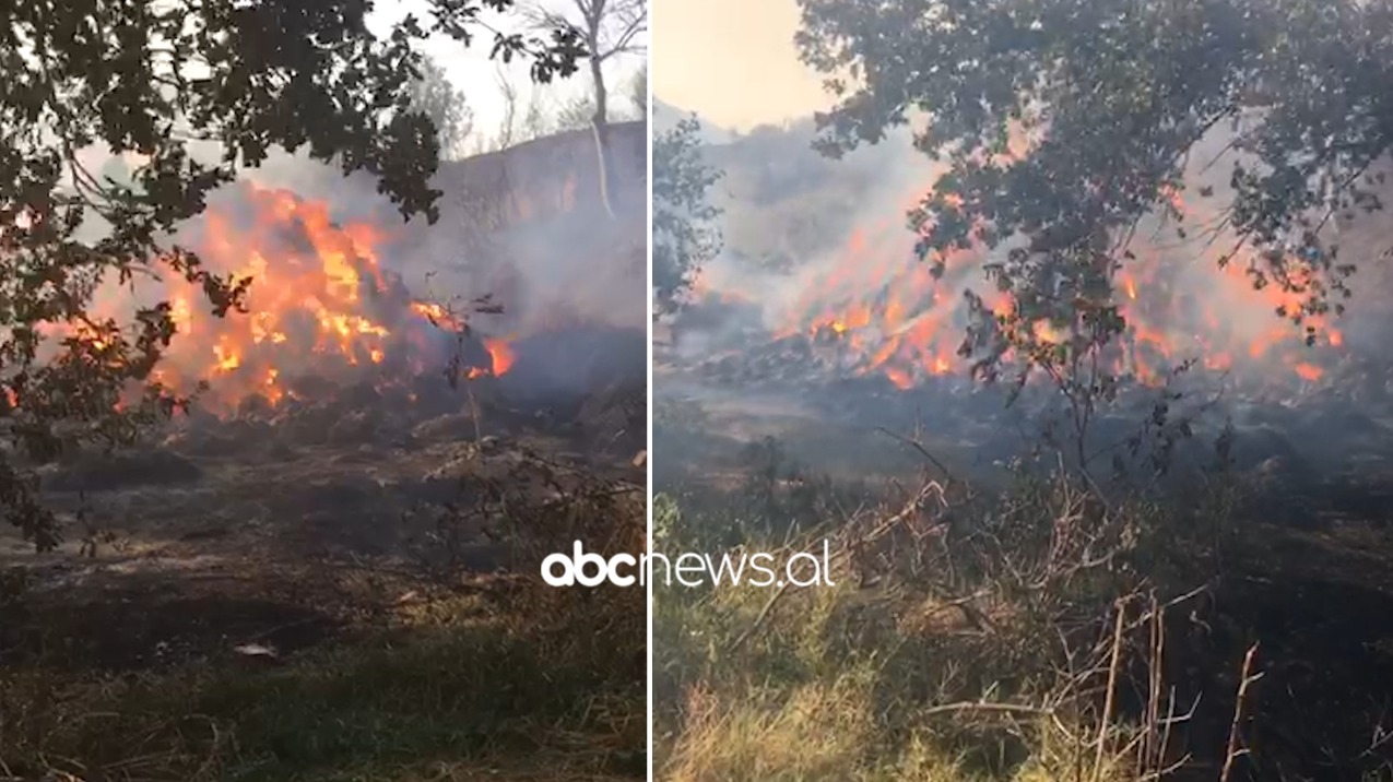 Zjarr i madh në fshatin “Andon Poçi” në Gjirokastër, rrezikohen banesa të fshatit