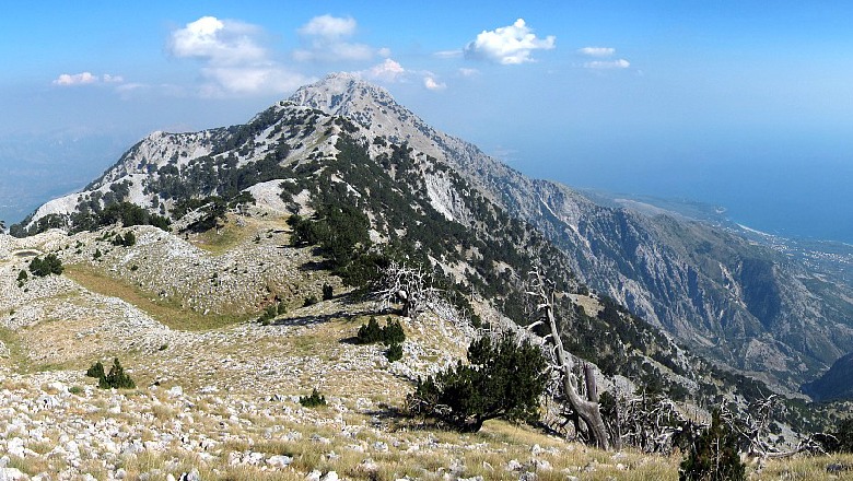 Bllokohet në malin Çikës, alarm SOS nga turisti meksikanë në Vlorë