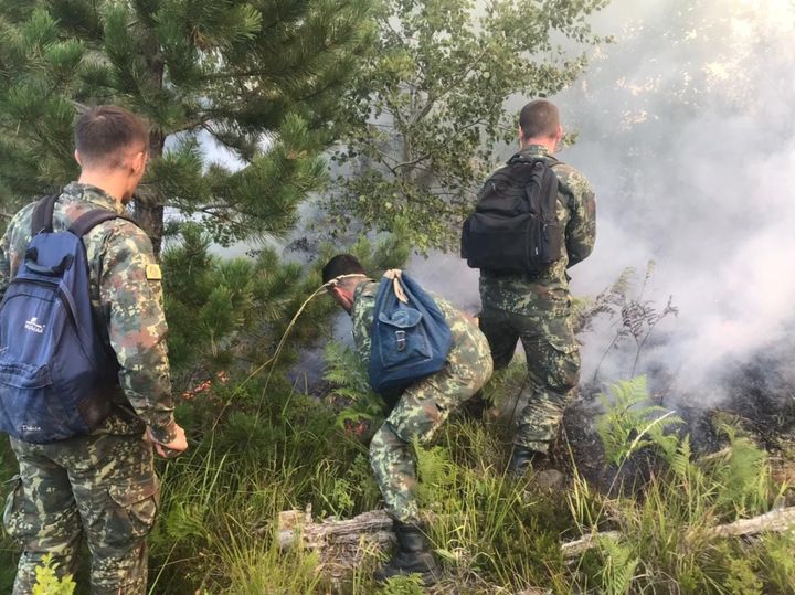 Zjarret ende aktive në vend, Peleshi: Mbeten nën kontroll dhe pa rrezik për zonat e banuara