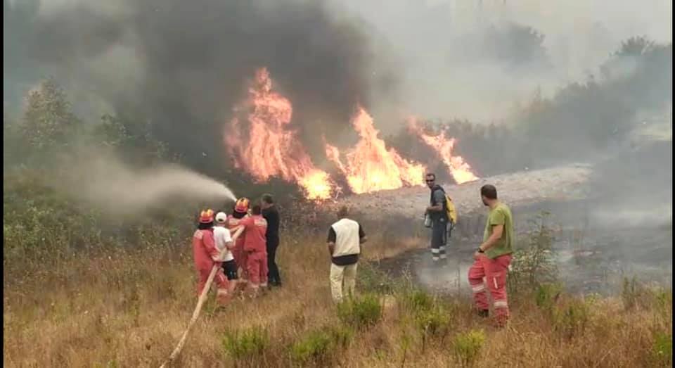 Shuhen 163 vatra zjarri në vend, MM: Flakët në Karaburun nën kontroll, si paraqitet situata në vend