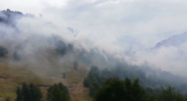 Zjarr në disa zona në Shkodër, bashkia apel për vënien para përgjegjësisë të autorëve