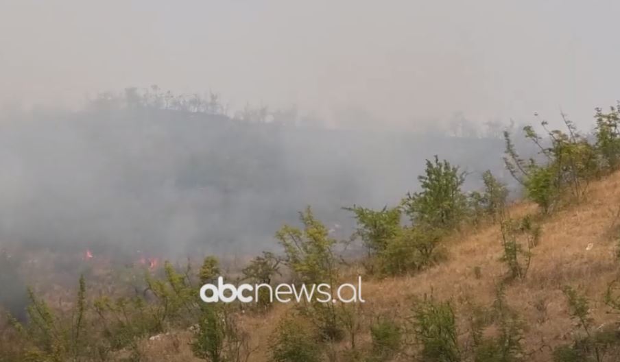 Zjarret në Gjirokastër, nënkryetari i bashkisë bën fajtor bujqit