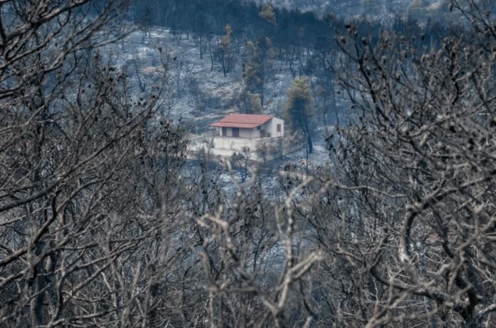 FOTO/ Çfarë la pas zjarri në Vilia të Greqisë