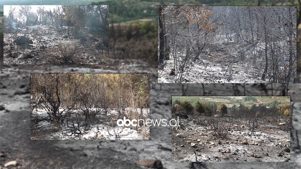 VIDEO/ Çfarë ka mbetur nga zjarri në Mamurras, digjen sipërfaqe të shumta toke, banorët ngrenë dyshime