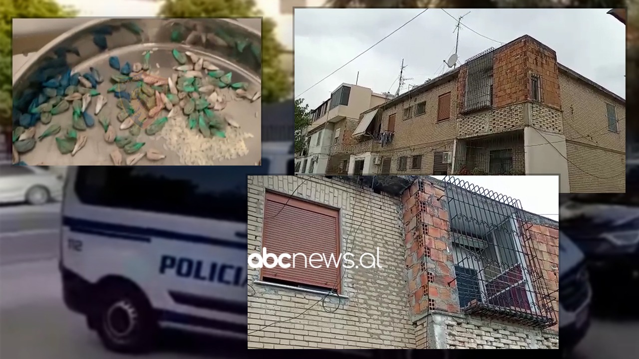 Nga jashtë dukej si e “mbaruar”, banesa ku përpunoheshin dozat e kokainës në Durrës