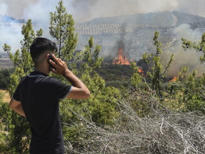 Ndezën pyjet, arrestohet fermeri shqiptar në Itali, në pranga dhe një 80 vjeçar