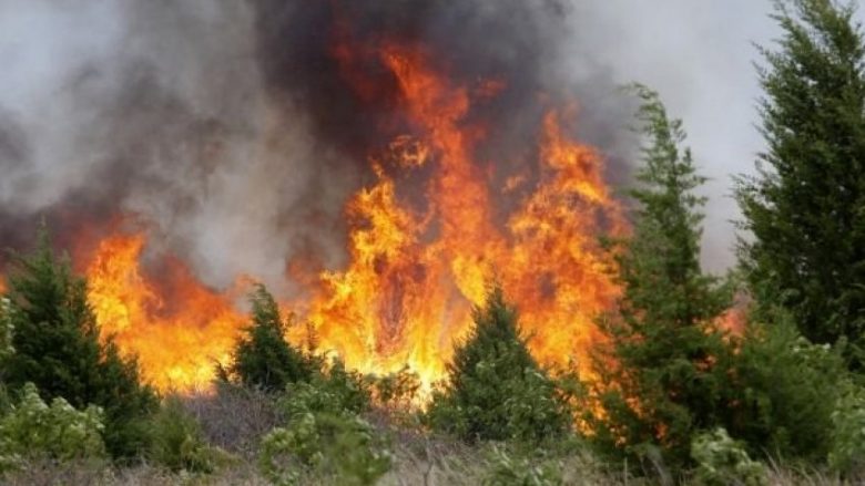 Zjarret në vend, në Fushë Arrëz do ndërhyhet me helikopter, këto janë vatrat më problematike
