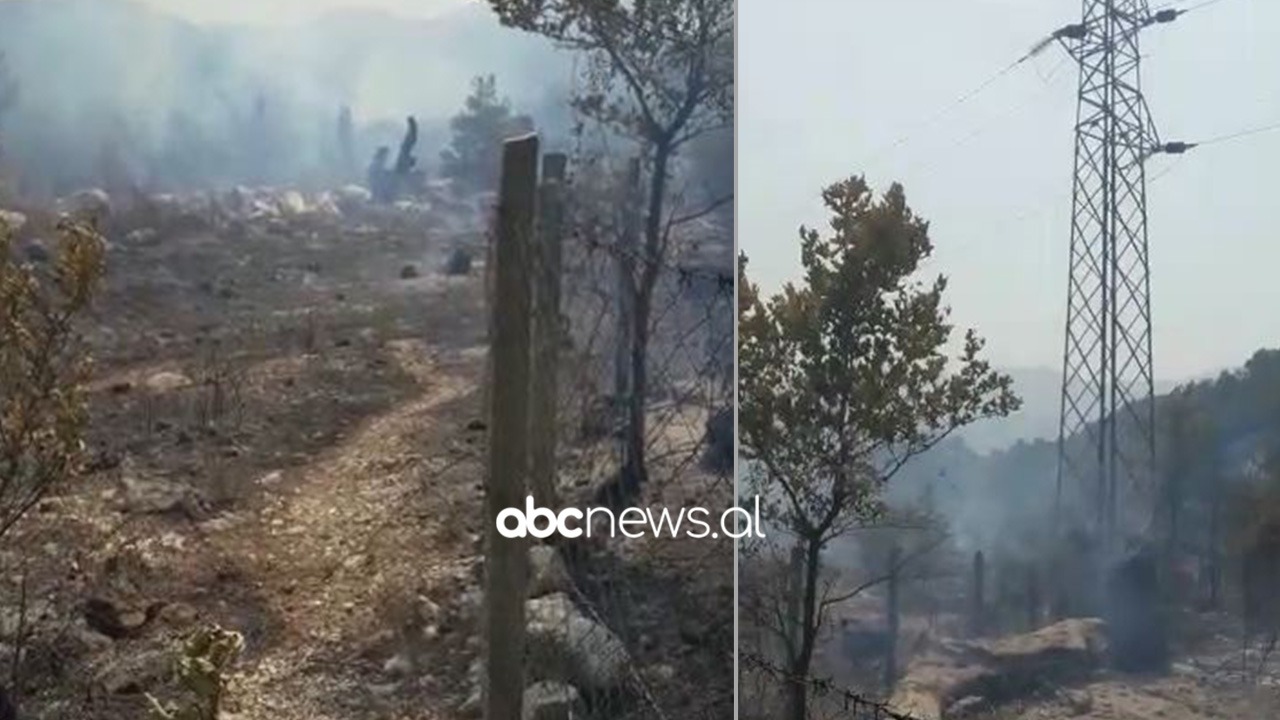 VIDEO/ Zjarrfikësit dhe banorët neutralizojnë flakët në Kuç të Vlorës