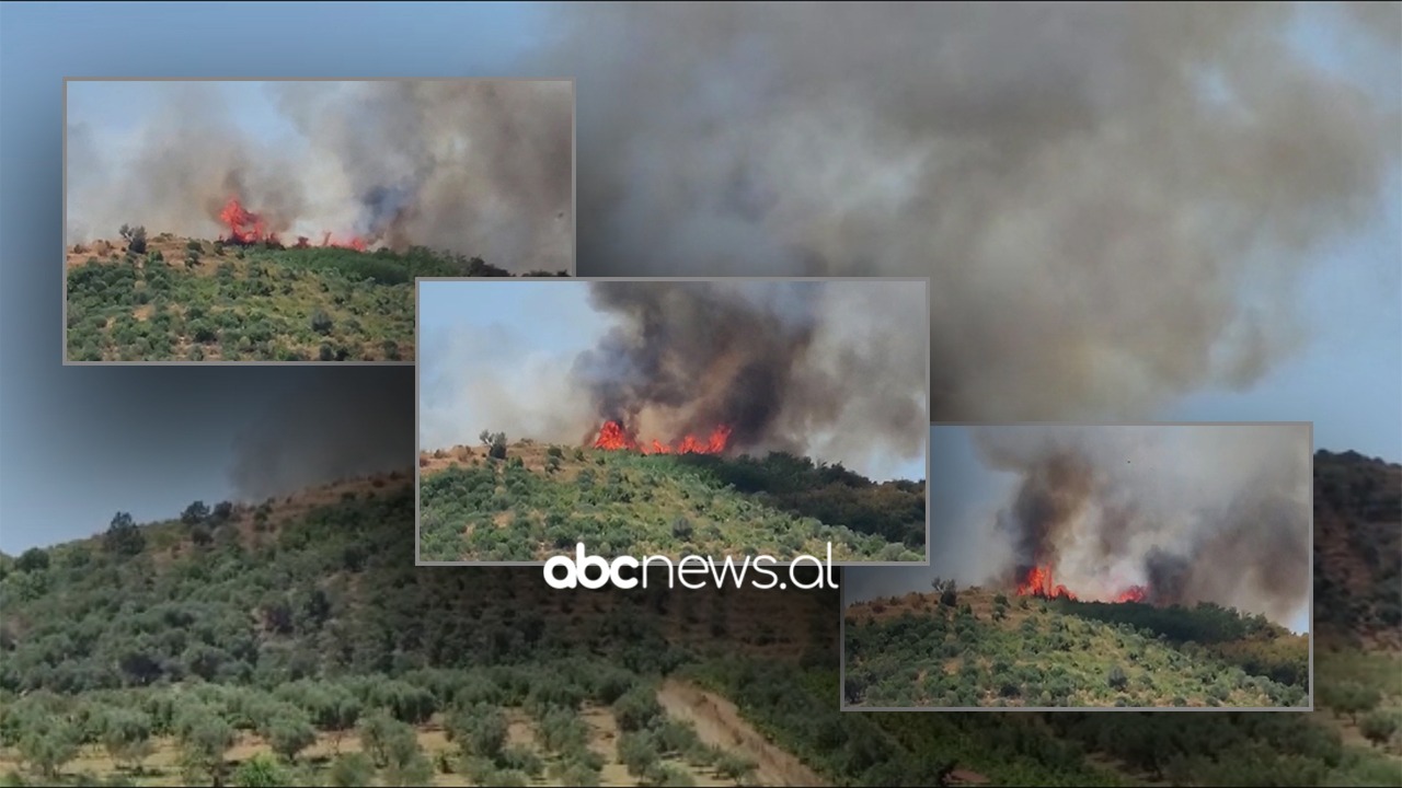 VIDEO/ Përhapet një vatër e re zjarri në Zhupan të Fierit