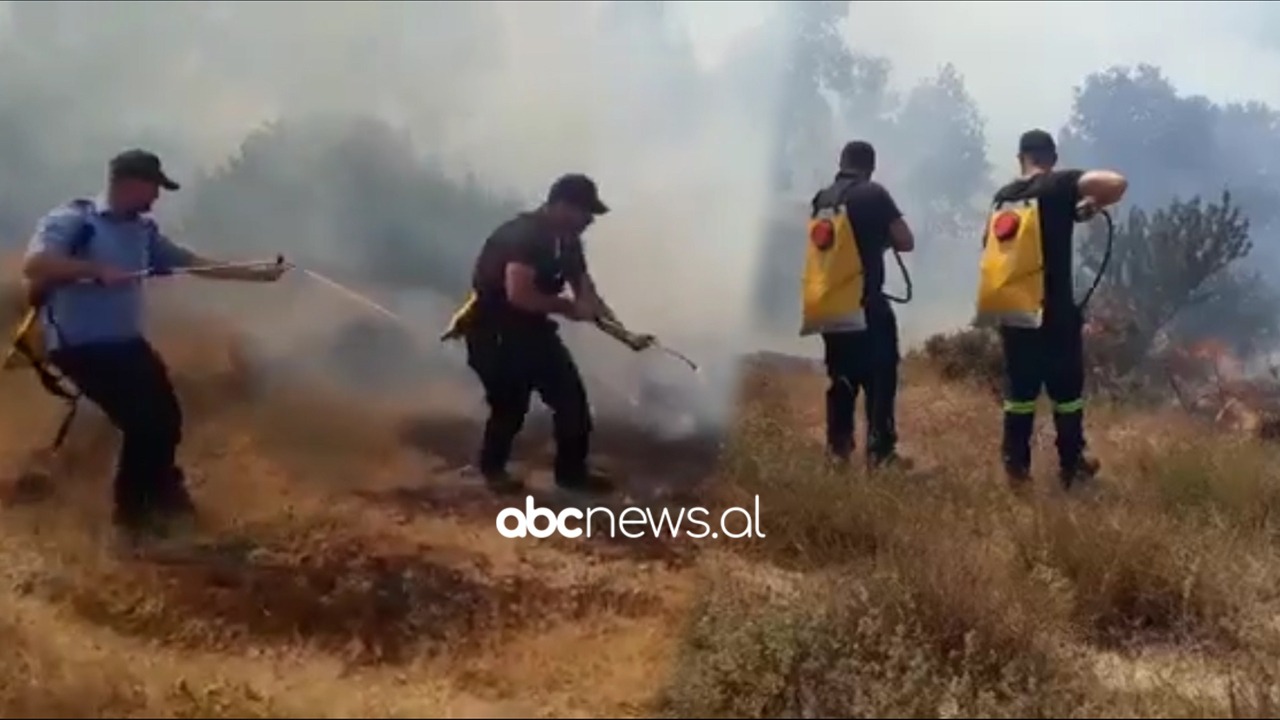 VIDEO/ Zjarr në fshatin Corrush në Mallakastër