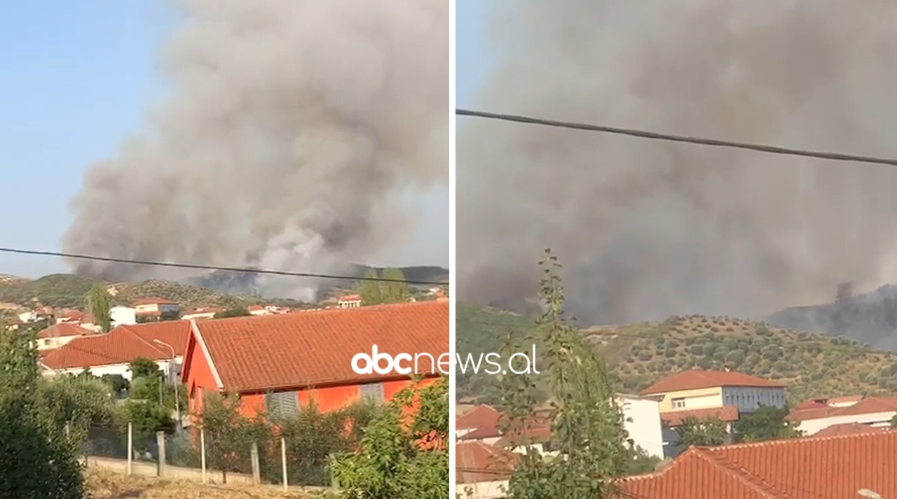 VIDEO/ Zjarr në Peqin, përfshihen nga flakët mijëra rrënjë ullinj