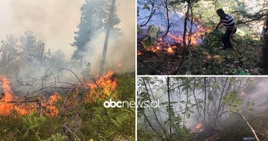 Maja e Rrunës 2 javë në flakë, shefi i Zjarrfikëses: Favorizohet nga era, terreni vështirëson punën