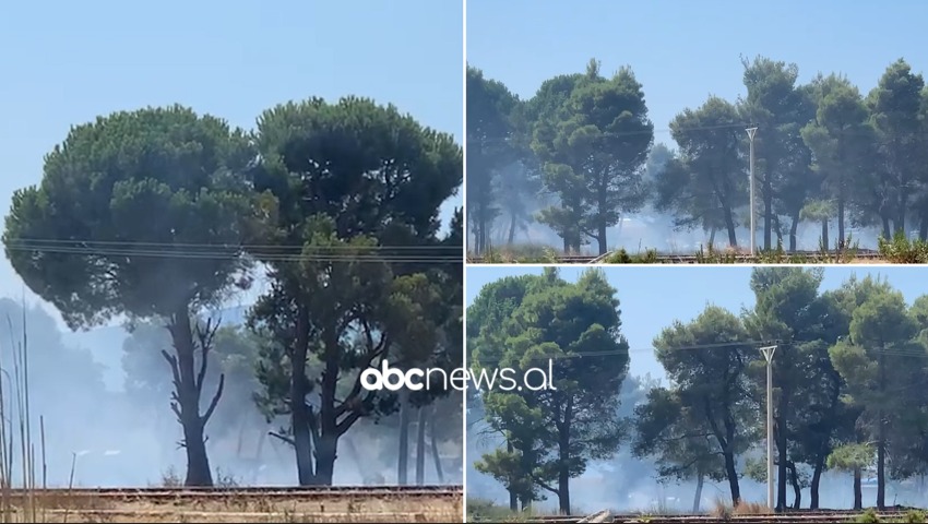 Zjarr në pyllin e Sodës në Vlorë, dyshohet i qëllimshëm