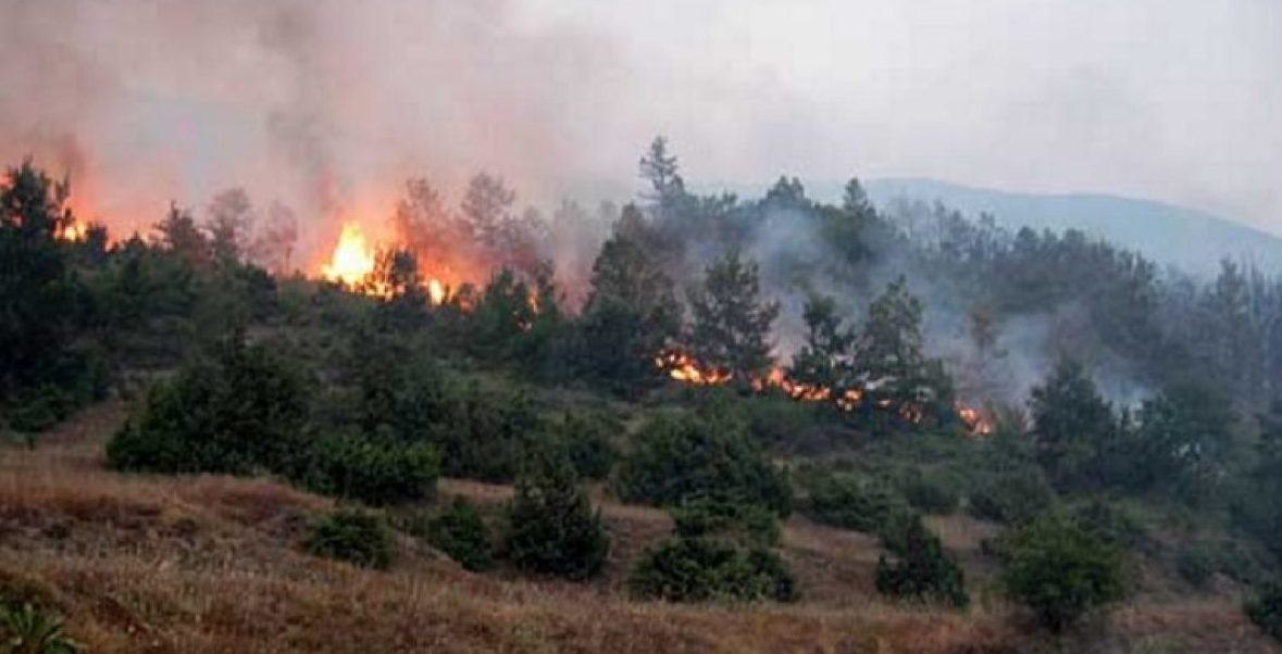 Zjarri në fshatin Vëndreshë e në Malin e Tomorri, një i arrestuar dhe një në kërkim në Berat