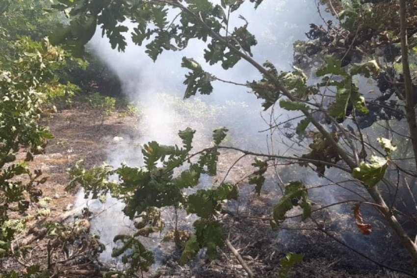 Shënohet viktima e parë nga zjarret në Kosovë