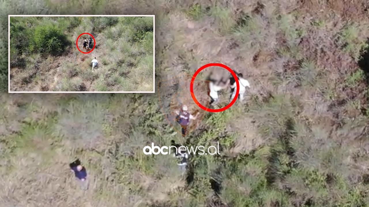 Operacion anti-drogë në Vlorë, arrestohen në arat me kanabis dy persona (EMRAT)