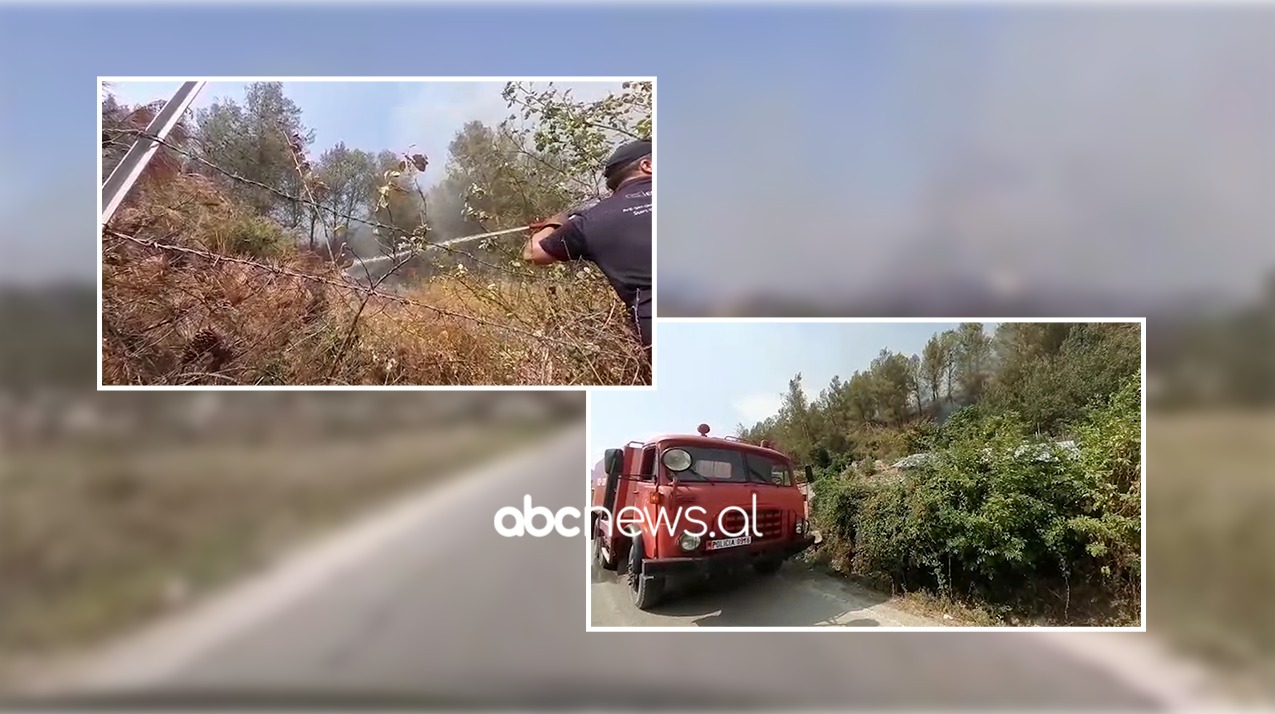 Falët pranë banesave, përkeqësohet situata me zjarrin në fshatin Arshi Lengo në Gjirokastër