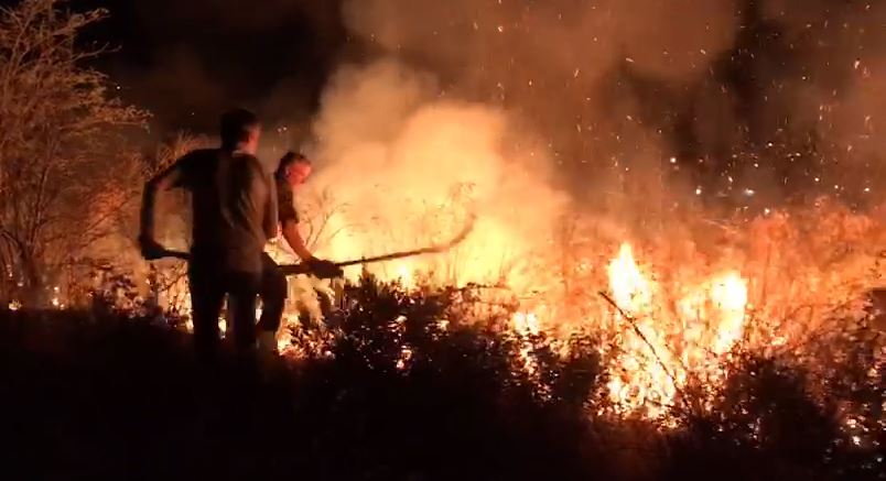 Shkodra bën bilancin, vijon puna për shuarjen e vatrave aktive të zjarrit