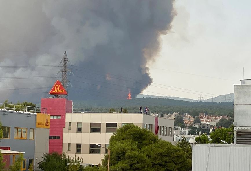Autobusët gati për ata që s’kanë makina, riaktivizohen 3 vatra të rrezikshme zjarri në Greqi