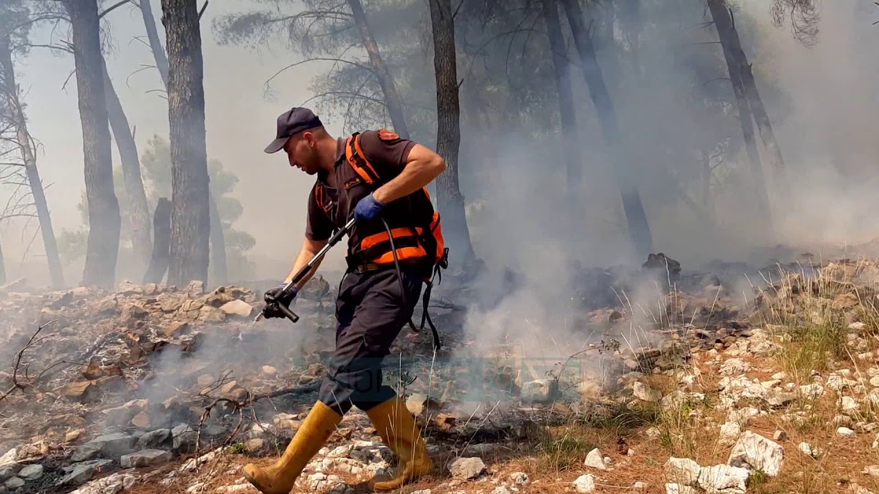 I vuri zjarrin një sipërfaqe tokë pyjore procedohet penalisht autori në Dibër