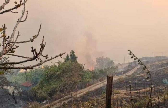 Pas Siçilisë, Kalabria nën “pushtetin” e flakëve, humbin jetën dy persona në San Lorenzo