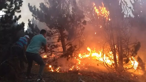 Bilanci: 6 vatra zjarri aktive në të gjithë vendin, vijon beteja me flakët në Fushë-Arrëz dhe Karaburun