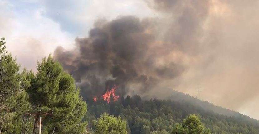 ZJARRET/ Këto janë qarqet me vatra aktive, helikopterët të angazhuar në disa zona