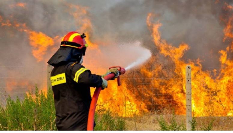 42 zjarre në 24 orë përfshinë sipërfaqe pyjore në Greqi