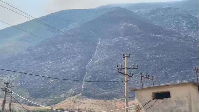 Situata e qetë në Dukat, ndërhyhet nga ajri e toka për të shmangur përhapjen e zjarrit në Parkun e Llogarasë