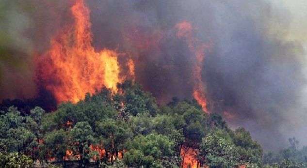12 vatra zjarri aktive në vend, në Fushë Arrëz flakët u afrohen banesave, ndërhyhet me helikopter