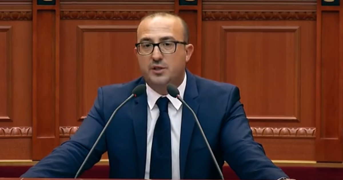 Deputeti i Lushnjes: Si t’ia shpjegoj mamasë “logimin”, shqiptarët presin për të vënë tenxheren në zjarr