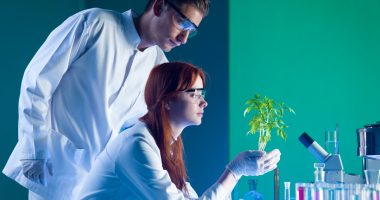 Kjo bimë mund të jetë “arma” kundër kancerit të prostatës