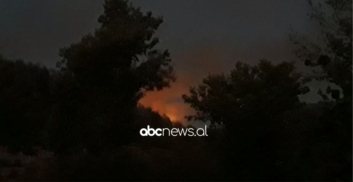 Zjarr i madh në një pyll pranë fshatit Borizanë të Krujës