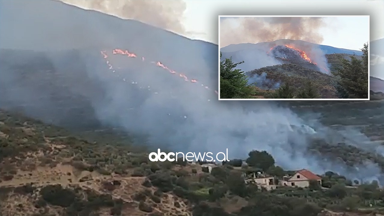Fermeri po digjte shkurret në tokën e tij, zjarri shkrumbon 10 ha tokë në Poliçan