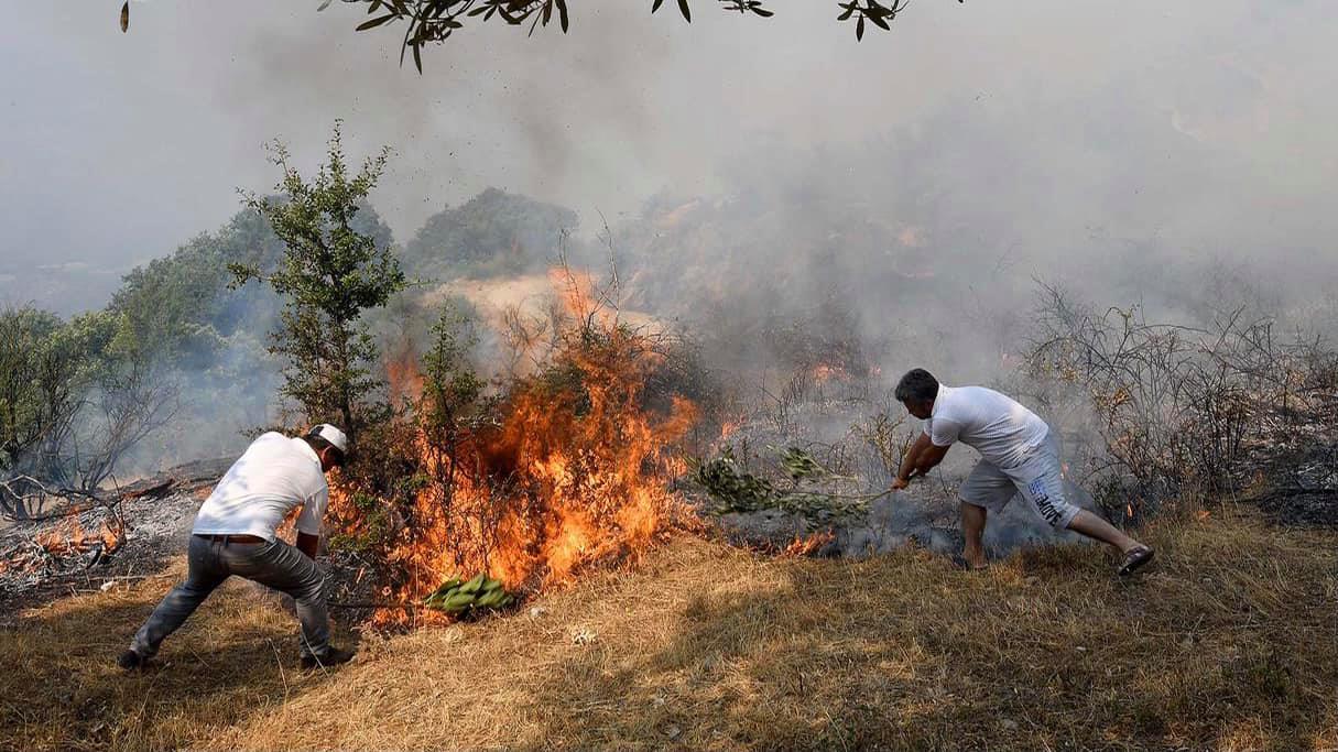 Zjarret në Vlorë, Çako: Bashkitë duhet të bëjnë bilancin përfundimtar