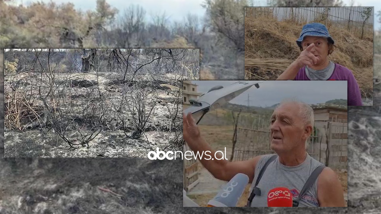 Zjarri në Panaja shkrumboi ullinjtë, banorët: Autorët të mos dalin më nga burgu, miliona lekë u “dogjën”