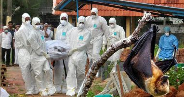 Dhimbje koke dhe temperaturë, rishfaqet virusi i rrezikshëm, 75 herë më vrasës së Covid19