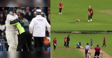 VIDEO/ Qeni “vjedh” shfaqjen në gjysmë-finalen e kriketit, dhuron show me topin