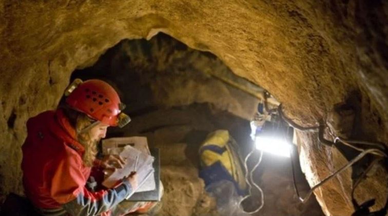 Zbulimi i profesorit grek: Paraardhësit tanë në letargji, NASA, jeta në Mars dhe e ardhmja