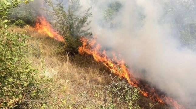 Tenton të fikë zjarrin, asfiksohet nga tymi dhe ndërron jetë