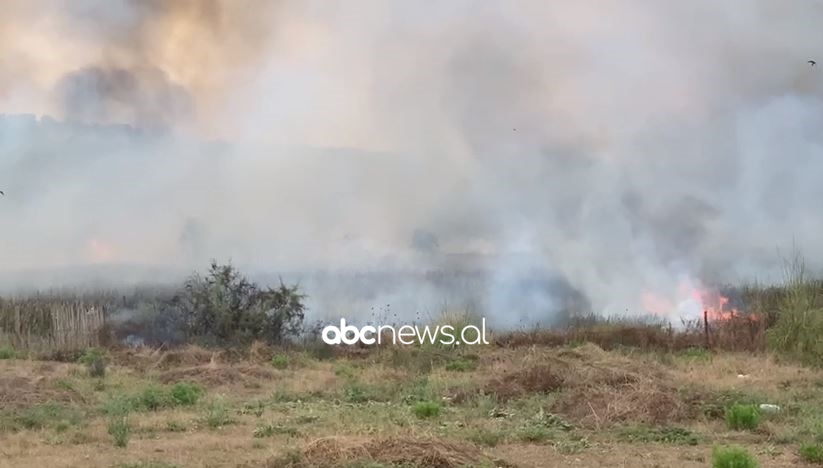 Zjarr në Zvërnec të Vlorës, flakët po përparojnë me ndihmën e erës