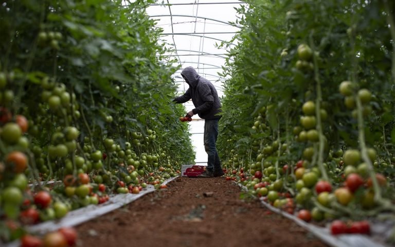 Domatet dhe trangujt, “viktimat” e ardhshme të krizës energjetike?