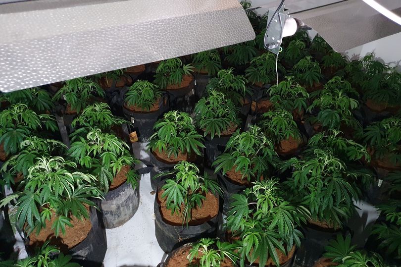 Inxhinieri elektrik i bën “gropën” shqiptarit në Britaninë e Madhe, kapet në tualetin e shtëpisë së barit