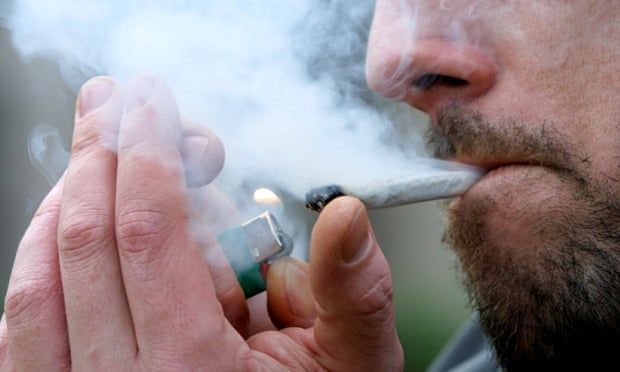 Luksemburgu legalizon rritjen dhe përdorimin e kanabisit në shtëpi