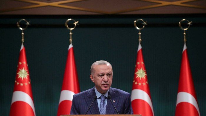 Turqia heq dorë nga vendimi, nuk do t’i dëbojë 10 ambasadorët perëndimorë
