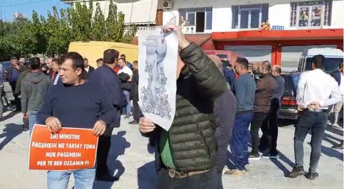 Fara e skaduar e domates i çoi drejt falimentimit, fermerët në Lushnje, Berat dhe Fier në protestë