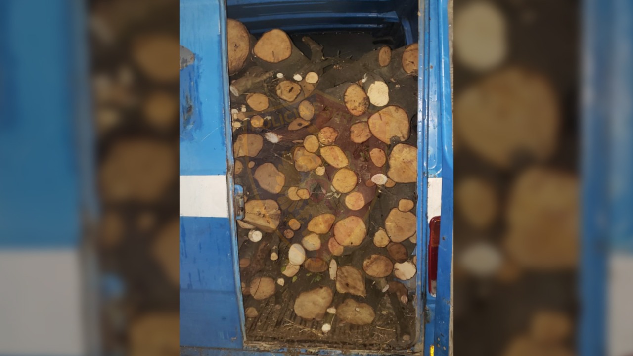 Kishte mbushur makinën me dru, policia ndalon 40-vjeçarin në Manzë