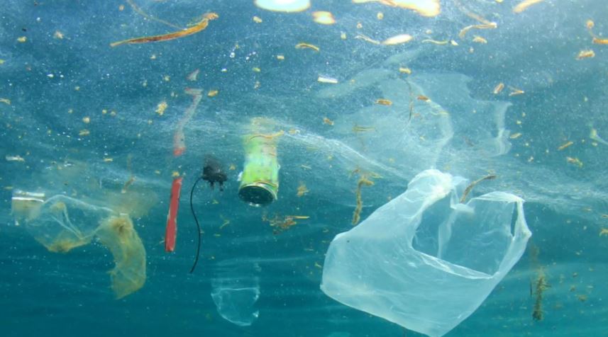 STUDIMI/ Mbetjet plastike, bregu shqiptar një ndër më të ndoturit në Mesdhe