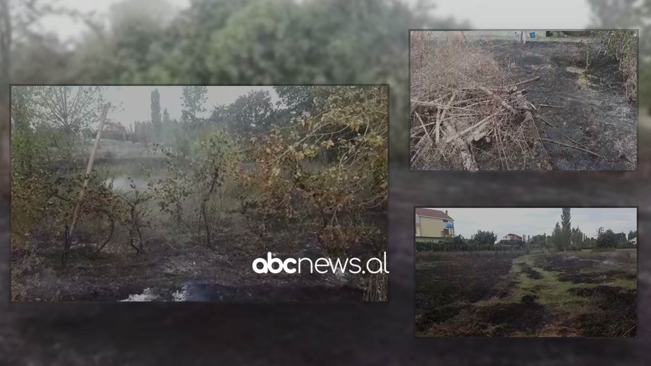 Zjarr në Fushë Mamurras, rrezikohen disa banesa