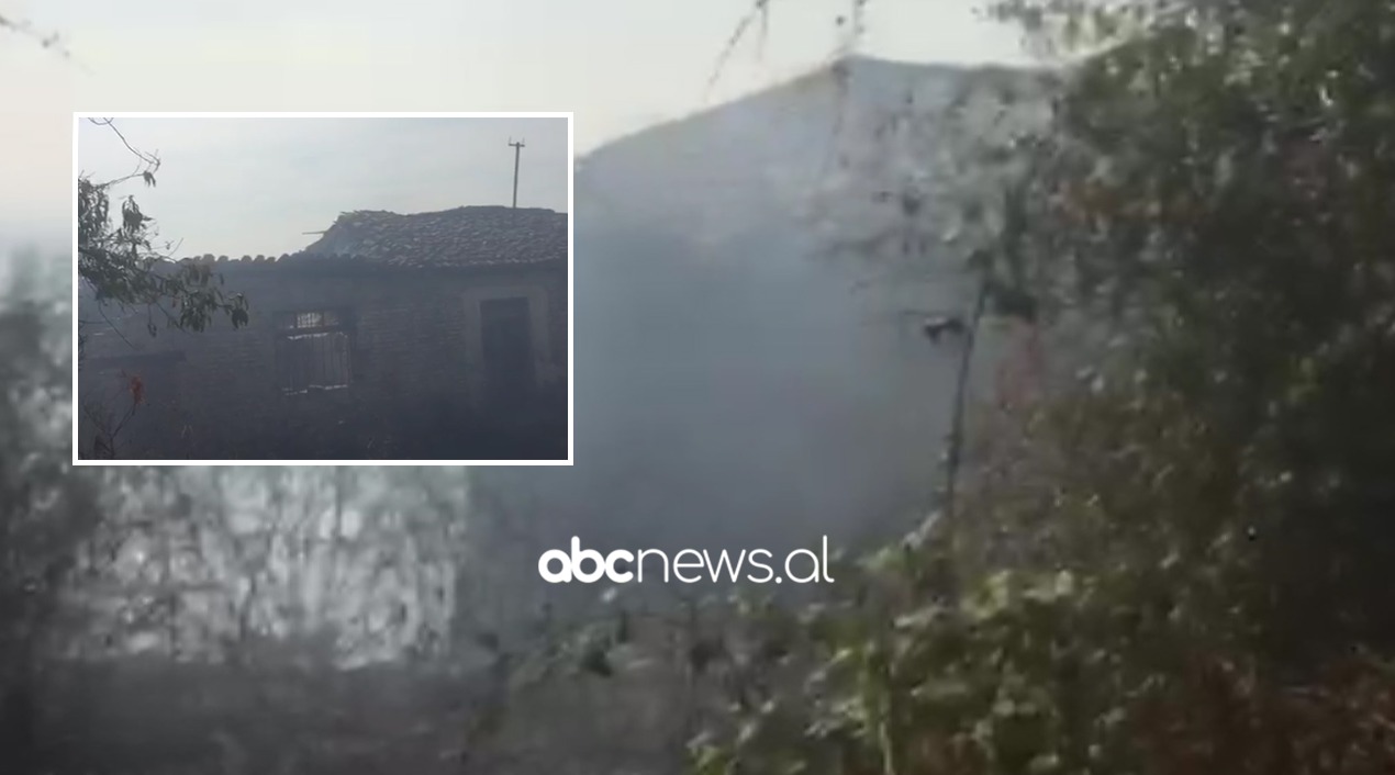 Përfshihen nga flakët dy banesa në Rrogozhinë, shkrumbohen edhe 250 rrënjë ullinjsh